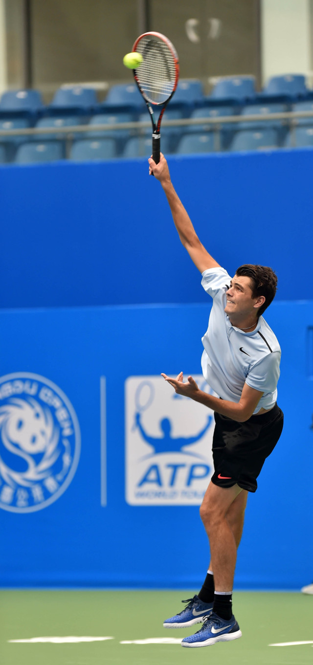 初登场的梅 初登场的梅